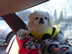 二号站官方网站app下载 虎の口から出たと思ったが目の前に別の軍勢がいるとは知らなかった