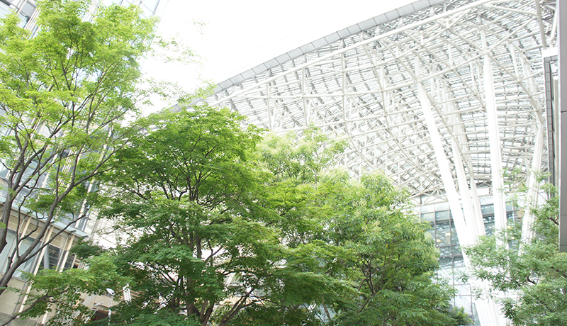 AG捕鱼王2官网 鳳景が救出された後、ガオ・シミオが彼女を知っていた場合